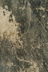 Unfinished wall background. Grey cement wall background