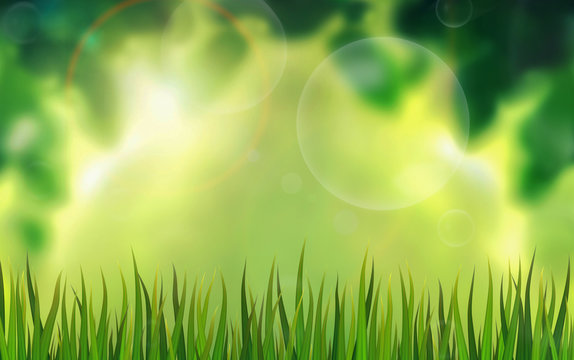 Natural background with foliage, grass and soap bubbles.