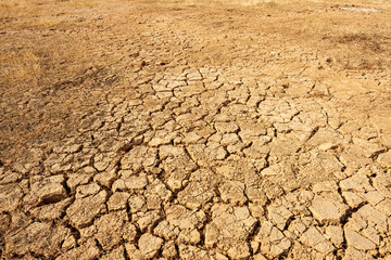 Large dry field of land after a long period of drought.