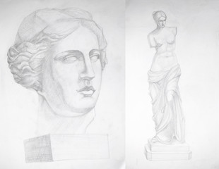 Fototapeta na wymiar Portrait of Venus de Milo - pencil drawing