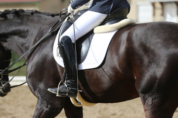 Closeup of a horseback under old leather jumper saddle on competition. Equestrian sport background