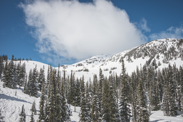 Whistler scenery
