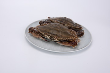 Fototapeta na wymiar Fresh crabs on a plate, against a white background