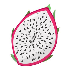 Dragon fruit. Half of the cut fruit. Isolated vector illustration on white background.