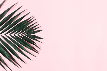 Fototapeta premium Summer modern composition. Tropical green leaves of palm tree on pastel pink background. Flat lay, top view, copy space