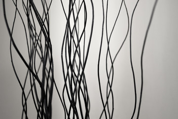 black curved lines on a white background, texture, isolate