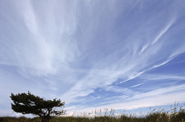 landscape with wispy clouds