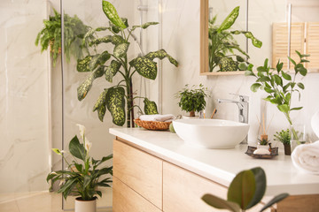 Beautiful green plants in elegant modern bathroom. Interior design