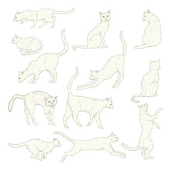Vector Set of Cartoon White Cat Illustrations