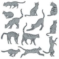 Vector Set of Cartoon Striped Cats.