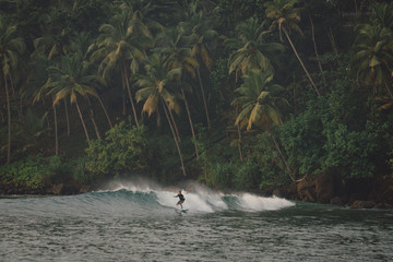 Sri Lanka Surf - obrazy, fototapety, plakaty