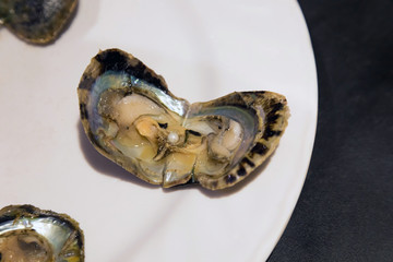 Sea pearl in the open shell. Phu Quoc island, Vietnam.