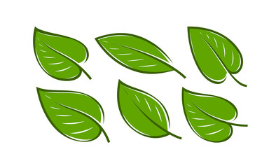 Green leaf set . Nature logo or icon vector illustration