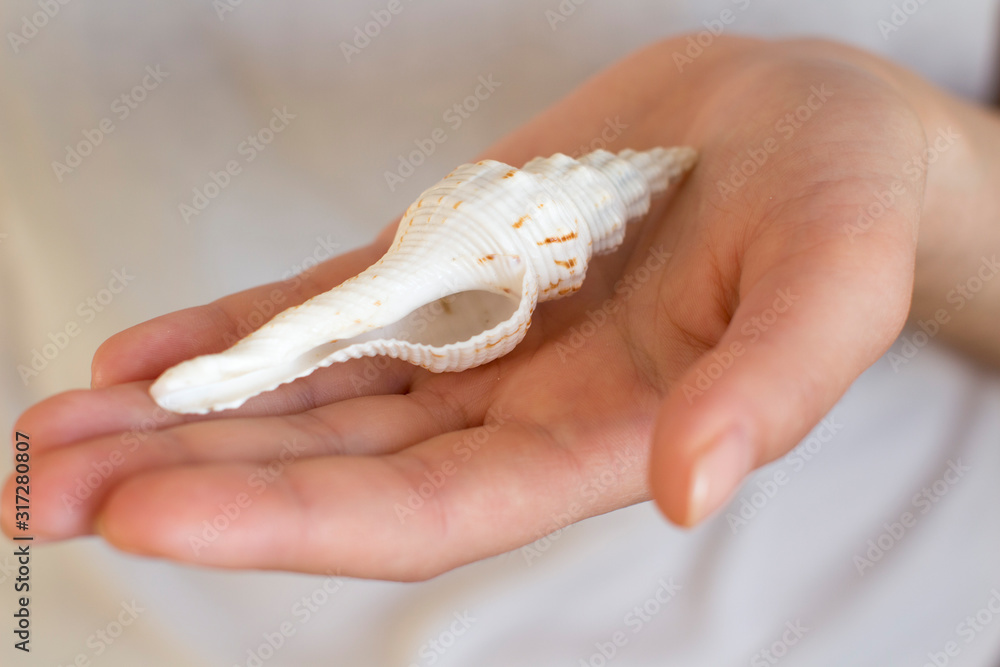 Wall mural young woman holding a white sea shell