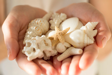 young woman holding white sea shells and corals