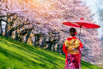Obraz premium Asian woman wearing japanese traditional kimono and cherry blossom in spring, Japan.