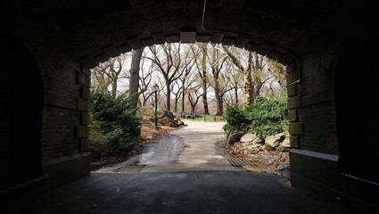 Central Park views through an Archway Bridge 