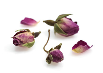 Fototapeta premium BOUTON DE ROSE
