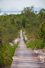 Long wooden path in Bako national park Malaysia