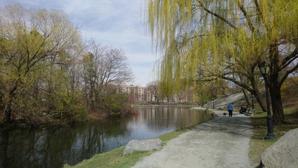 Man walking his dog around the Harlem Meer in Central Park 