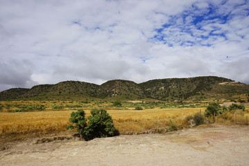 field with mountains and blue sky