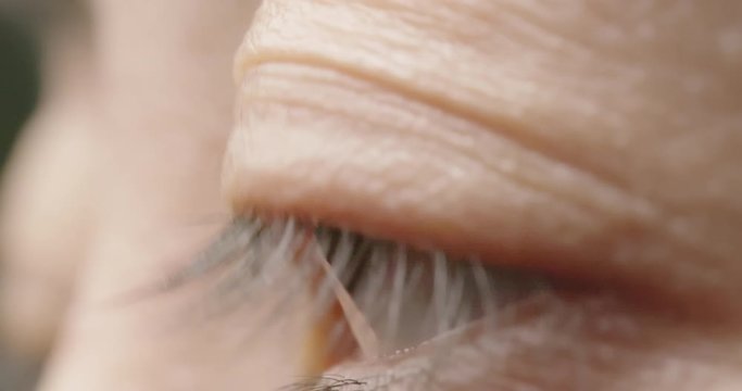 Macro shot of brown eye