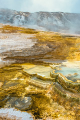 Minerva Terrace, Yellowstone National Park, Wyoming, USA