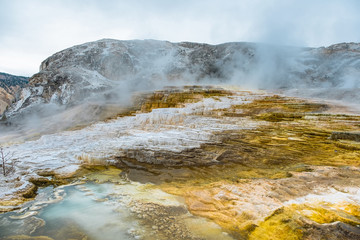 Minerva Terrace, Yellowstone National Park, Wyoming, USA