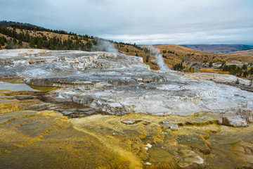 Minerva Terrace, Yellowstone National Park, Wyoming, USA