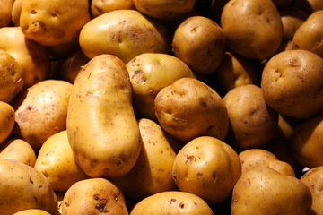 Potato sold in supermarket