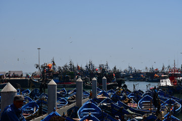 Marokko/Essaouira 2019
