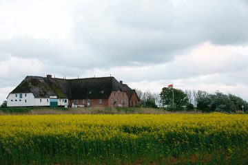 The Peninsula Nordstrand in Germany, Europe