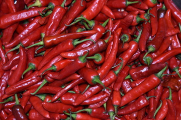 red hot chili with gree