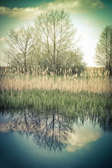 Vintage rural landscape with trees and sky reflection in lake.