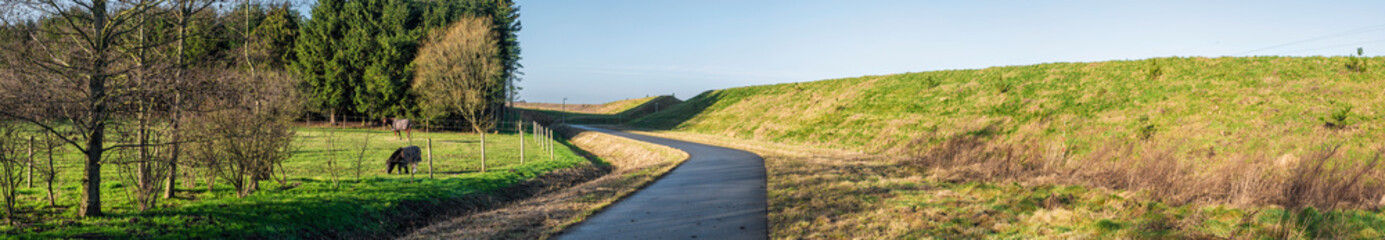 Naklejka premium Horses grazing in a panorama landscape