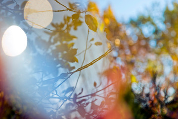 Autumn view reflected in the glass with light bokeh.