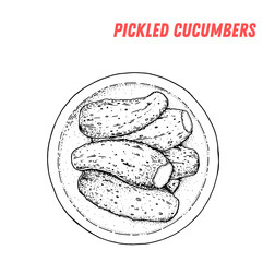 Russian kurnik chicken pie hand drawn illustration. Russian cuisine. Linear graphic. Food sketch. © DiViArts