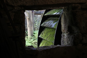 photo of a wheel of a water mill with moss on the blades from the window of an old foundry