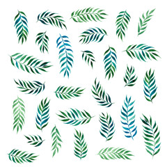 Set of abstract various palm leaves