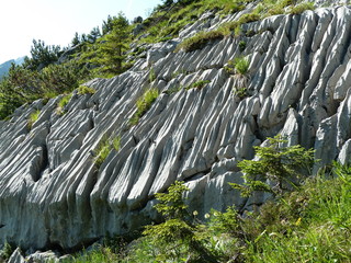 Felsgestein in den Alpen
