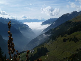 Talnebel  im Gro&szlig;en Walsertal