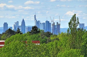 Skyline Frankfurt am Main