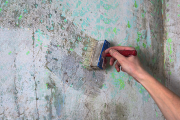 Repair and priming of the wall before painting or applying plaster. Painting and construction works...