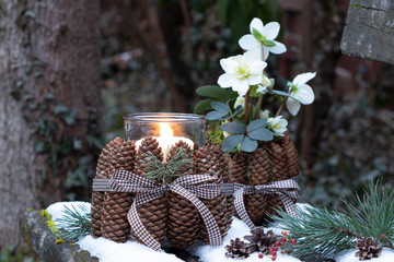 Winter-Gartendekoration mit Zapfen-Laterne und Christrose