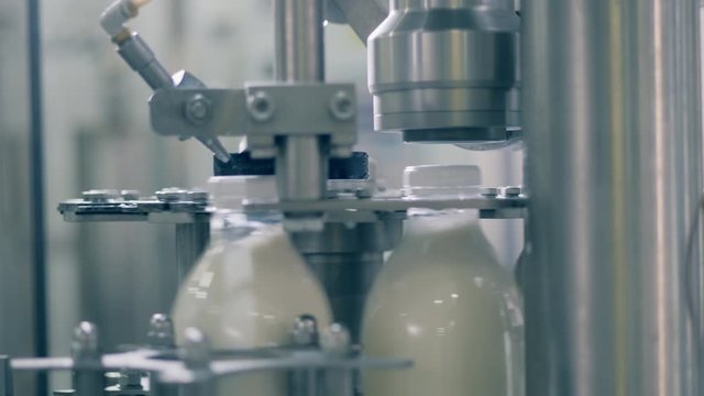 Plant mechanism is closing caps on milk bottles. Bottling plant equipmnet.
