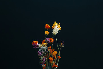 gedroogde bloemen boeket, abstract