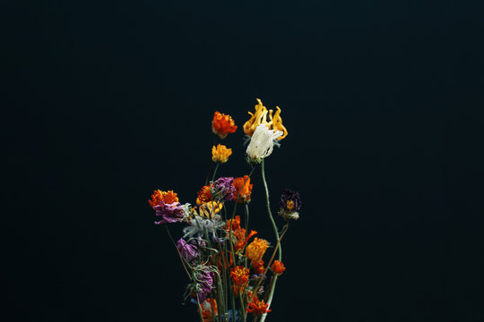 Dried Flower Bouquet, Abstract