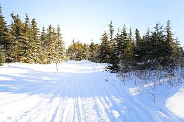 Wide snowy skiing trail