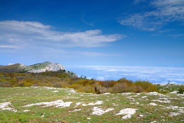 Meadow with green grass strewn stones and boulders