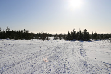 Obraz premium Frozen Lake covered in snow